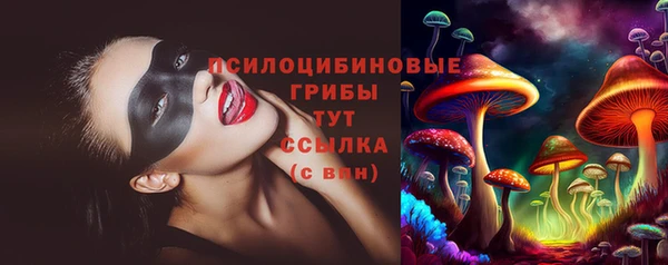 трава Баксан
