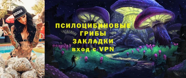 спиды Белокуриха