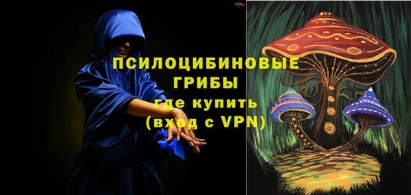 трава Балахна